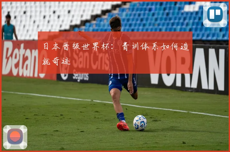 日本晋级世界杯:青训体系如何造就奇迹