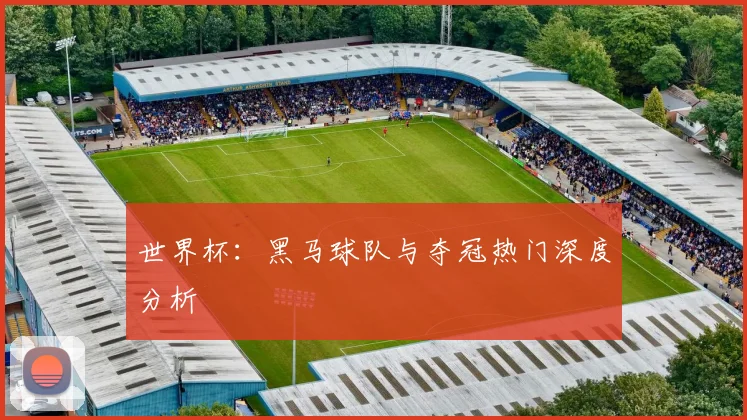 世界杯：黑马球队与夺冠热门深度分析