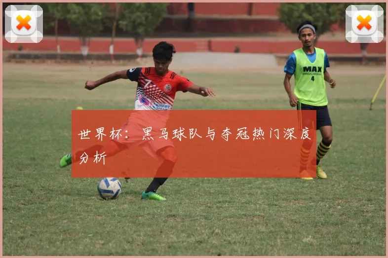 世界杯：黑马球队与夺冠热门深度分析